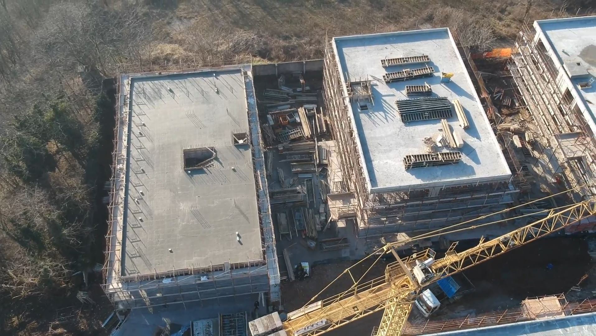 Immagine contenuto 1